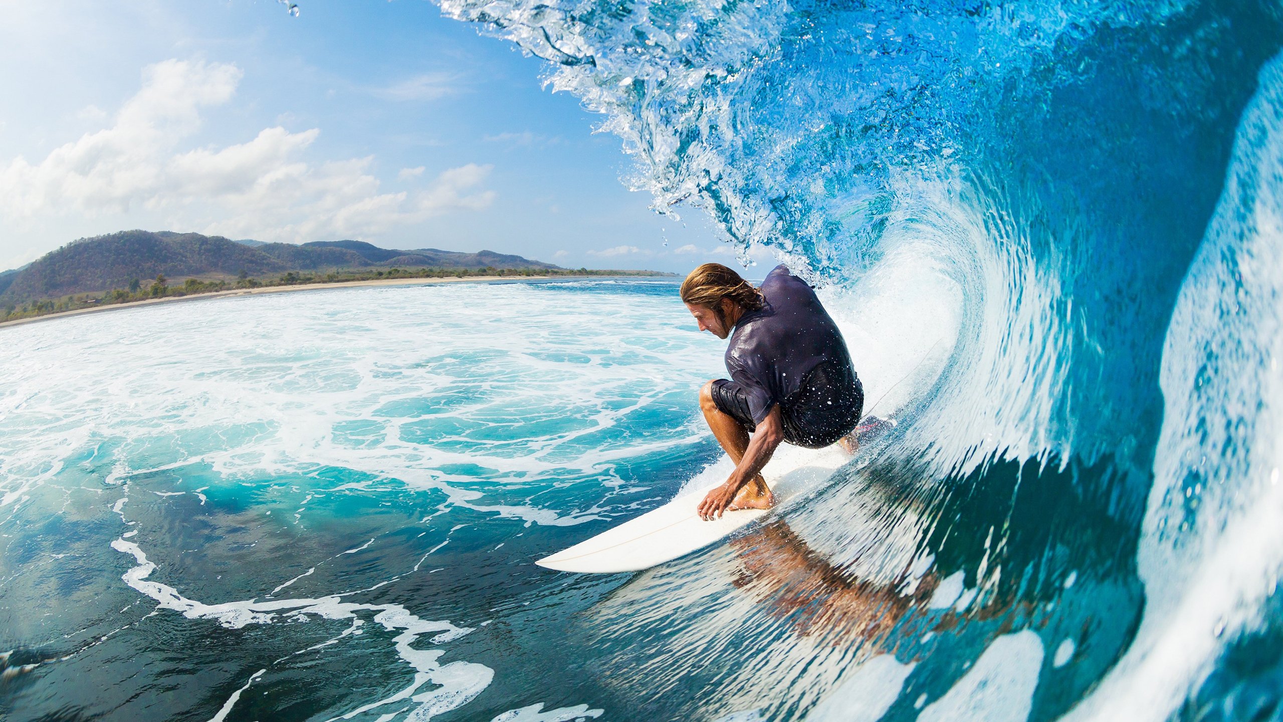 “从迷你到巨型”——各类车队装备与车型盘点,车队组成